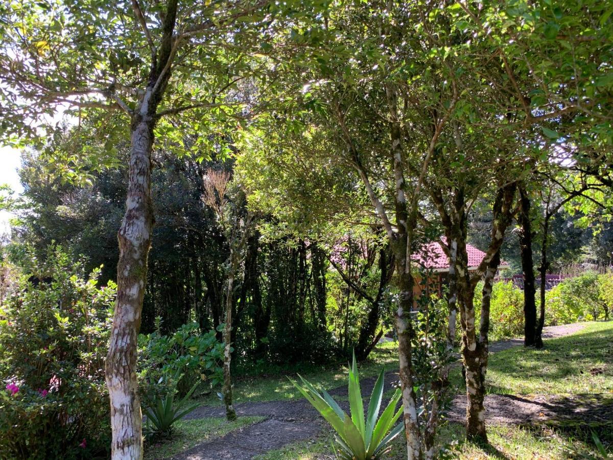 Bed and Breakfast Rancho Makena Monteverde Екстер'єр фото